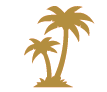 palm-tan palm-tan